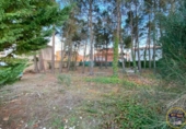 Land suitable for development for sale on España, Chillarón de Cuenca, ref: TR318367 photo