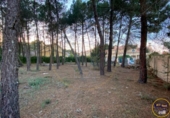 Land suitable for development for sale on España, Chillarón de Cuenca, ref: TR318367 photo