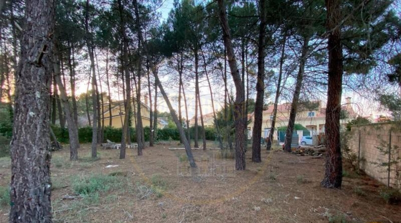 Cuenca - Chillarón de Cuenca - 774m2