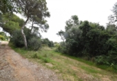 Земля на продажу у города Vilanova i la Geltrú Фото
