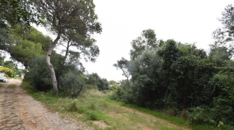 Barcelona - Vilanova i la Geltrú - 1563m2