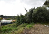 Земля на продажу у города Vilanova i la Geltrú Фото