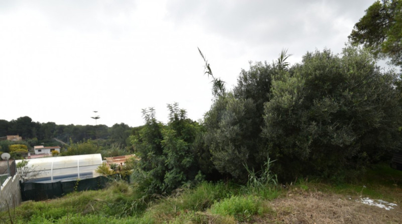 Barcelona - Vilanova i la Geltrú - 1563m2