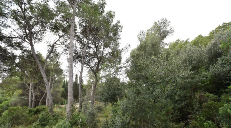 Barcelona - Vilanova i la Geltrú - 1563m2