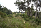 Земля на продажу у города Vilanova i la Geltrú Фото