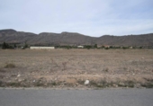 Terreny no urbanitzable en venda a la España, el Fondó de les Neus, ref.: TR320122 foto