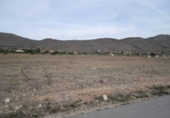 Terreny no urbanitzable en venda a la España, el Fondó de les Neus, ref.: TR320122 foto