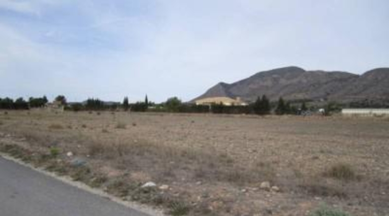 Alicante - Hondón de las Nieves - 16000m2