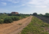 Terreny no urbanitzable en venda a la España, Elx, ref.: TR117547 foto