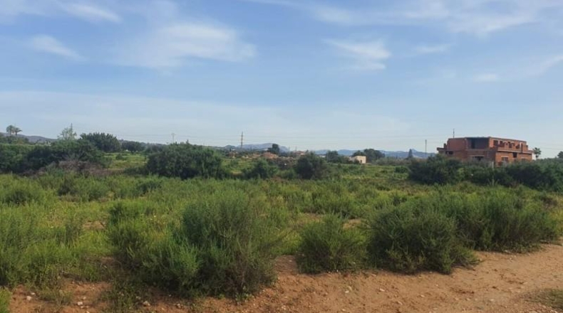 Alicante - Elche - 10000m2