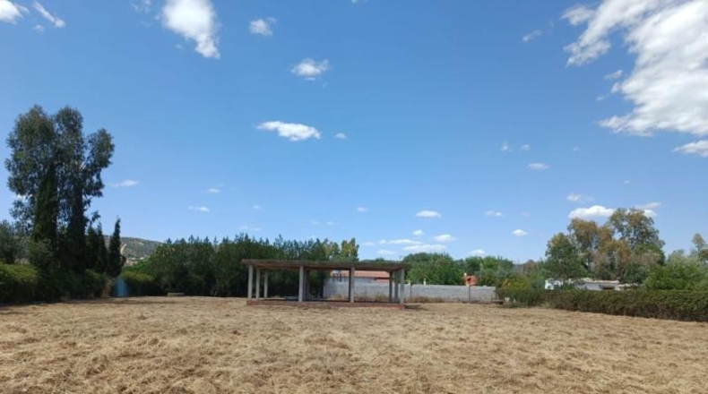 Córdoba - Córdoba - 3300m2