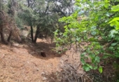 Parcel·la urbanitzable en venda a la España, Castellar del Vallès, ref.: TR117943 foto
