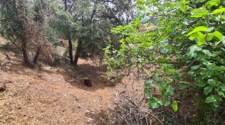 Barcelona - Castellar del Vallès - 881m2