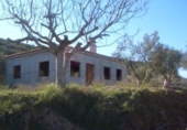Finca rústica en venda a la España, Calasparra, ref.: TR296512 foto