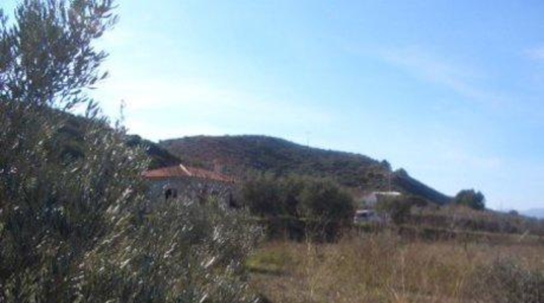 Murcia - Каласпарра - 10396m2