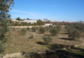 Finca rústica en venda a la España, Calasparra, ref.: TR296512 foto