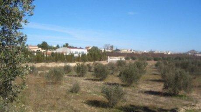 Murcia - Каласпарра - 10396m2