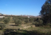 Finca rústica en venda a la España, Calasparra, ref.: TR296512 foto