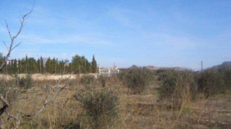 Murcia - Каласпарра - 10396m2