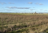 Finca rústica en venta en la España, Bollullos Par del Condado, ref: TR372660 foto
