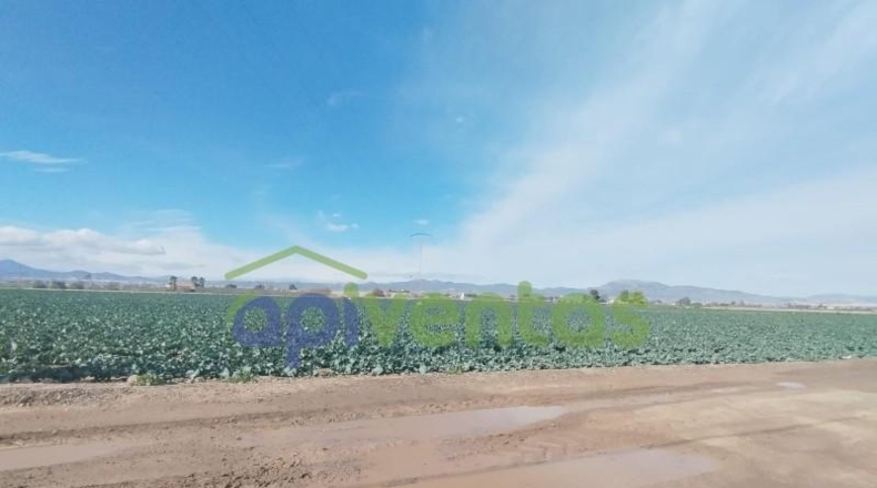 Murcia - Lorca - 18431m2