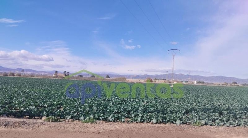 Murcia - Lorca - 18431m2