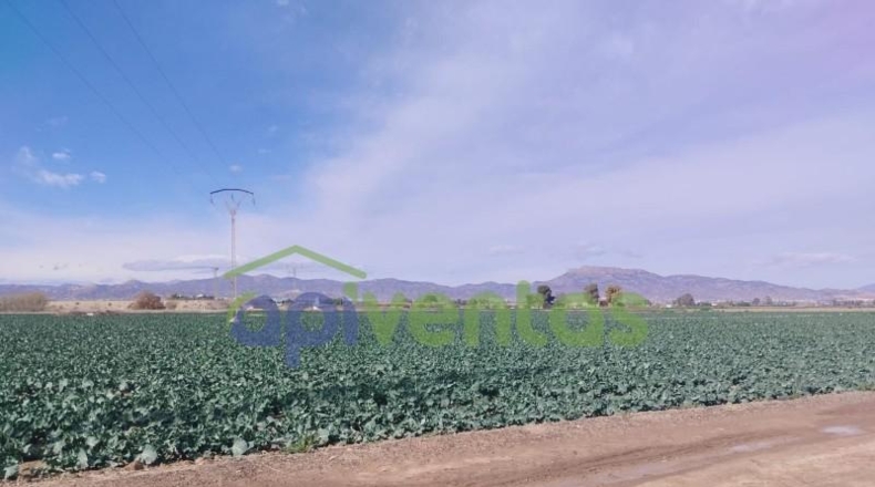 Murcia - Lorca - 18431m2