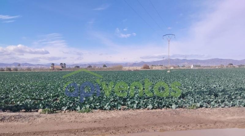 Murcia - Lorca - 18431m2
