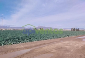 Lorca 18431&nbsp;m² 
