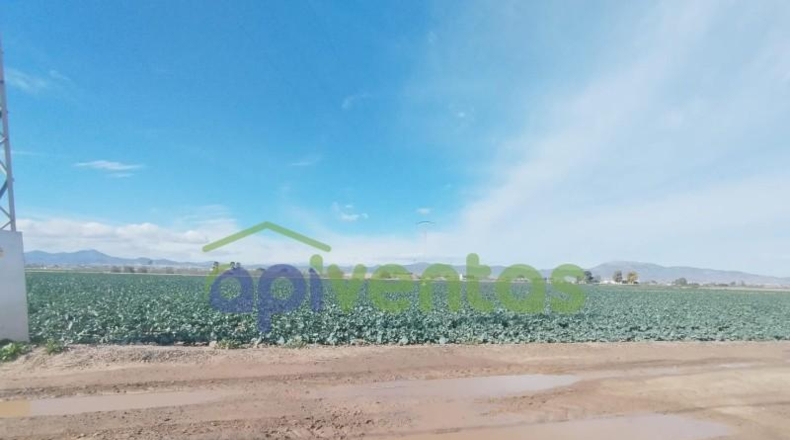 Murcia - Lorca - 18431m2