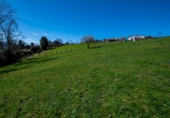 Land suitable for development for sale on España, La Obra, ref: TR128725 photo