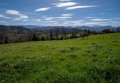 Land suitable for development for sale on España, La Obra, ref: TR128725 photo