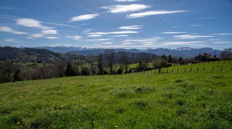 Asturias - Carranques - 6063m2