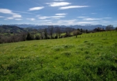 Land suitable for development for sale on España, La Obra, ref: TR128725 photo