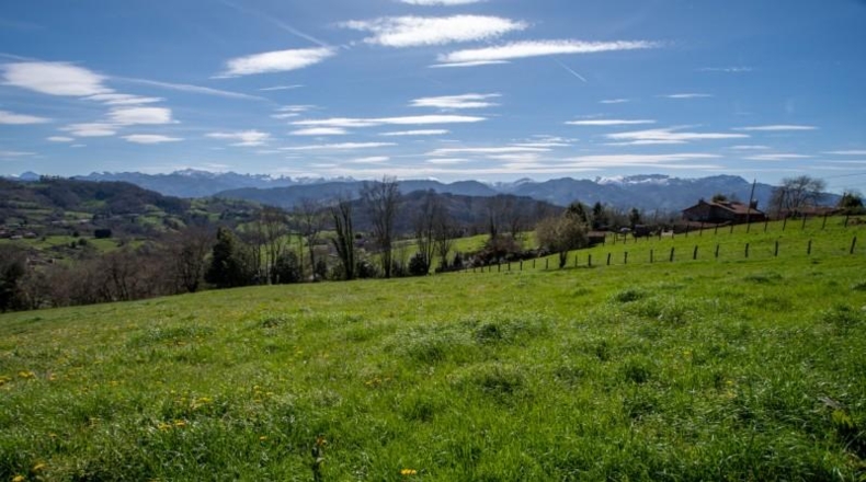 Asturias - Carranques - 6063m2