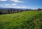 Land suitable for development for sale on España, La Obra, ref: TR128725 photo