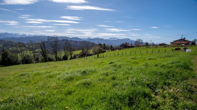 Asturias - Carranques - 6063m2