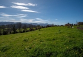 Land suitable for development for sale on España, La Obra, ref: TR128725 photo