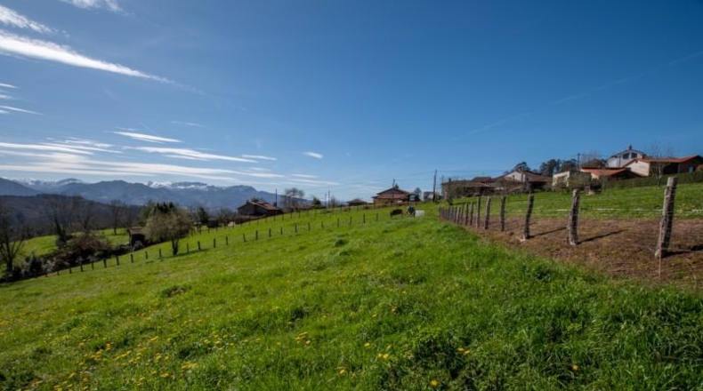 Asturias - Carranques - 6063m2