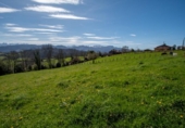 Land suitable for development for sale on España, La Obra, ref: TR128725 photo