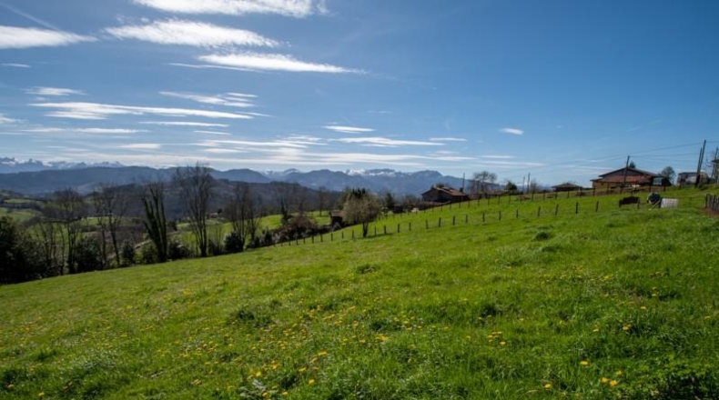 Asturias - Carranques - 6063m2