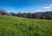 Land suitable for development for sale on España, La Obra, ref: TR128725 photo