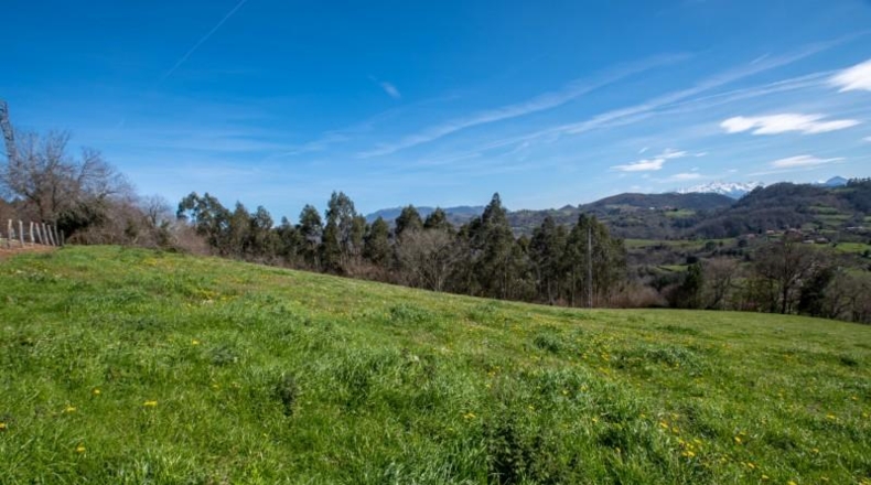 Asturias - Carranques - 6063m2