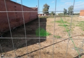 Sòl urbà en venda a la España, Montijo, ref.: TR125593 foto