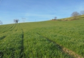 Non-developable land for sale on España, Penagos, ref: TR126489 photo