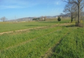 Non-developable land for sale on España, Penagos, ref: TR126489 photo