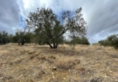 Xalet independent amb terreny en venda a la España, Jaén, ref.: TR323540 foto