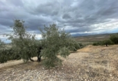 Xalet independent amb terreny en venda a la España, Jaén, ref.: TR323540 foto