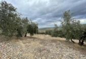 Xalet independent amb terreny en venda a la España, Jaén, ref.: TR323540 foto