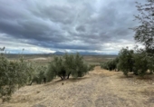 Xalet independent amb terreny en venda a la España, Jaén, ref.: TR323540 foto